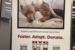 NYC Train Ads Urgent Pets on Death Row – Willie