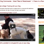 Dog Commander Website