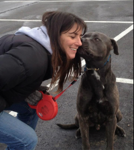 Mugsy Cane Corso - Hurricane Sandy Survivor - Mary Hannigan Rescue